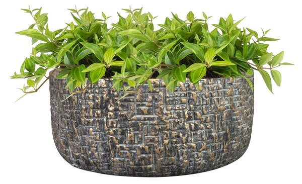Ter Steege Mísa Maxim shiny earth D20 H9