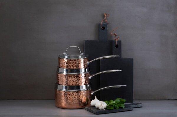 Nerezový hrnec s pokličkou 2,2 l Minerva – Premier Housewares