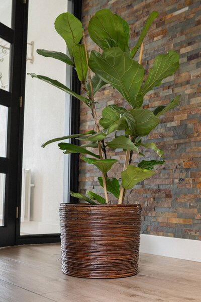 Ter Steege Sada 5 obalů Bob willow brown D41 H33