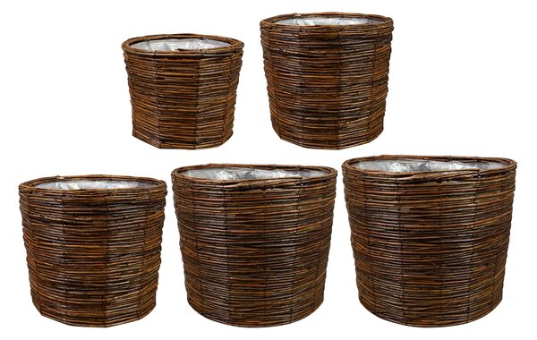 Ter Steege Sada 5 obalů Bob willow brown D41 H33