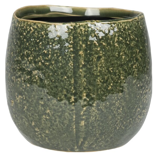 Ter Steege Obal Mischa forest D12 H10