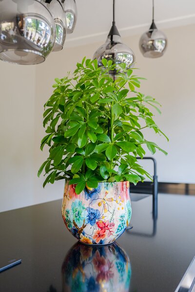 Ter Steege Sada 3 obalů Sparkle spring D33 H28