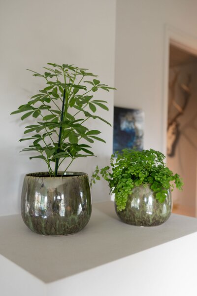 Ter Steege Obal Odile green D15 H13