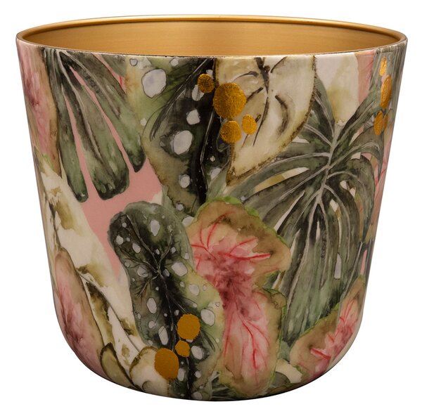 Ter Steege Obal Monstera mystery D23 H20