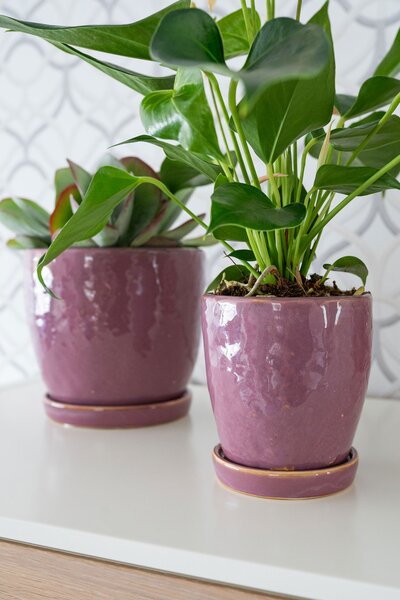 Ter Steege Obal+miska Vivi mauve D11 H12