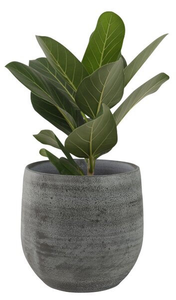 Ter Steege Obal Esra mystic grey D18 H16