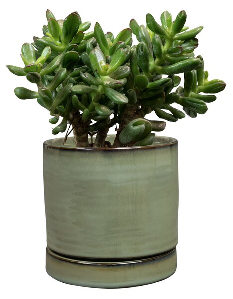Ter Steege Obal+miska Lana sea green D10 H10
