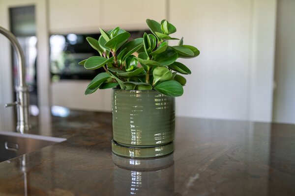 Ter Steege Obal+miska Lana sea green D10 H10