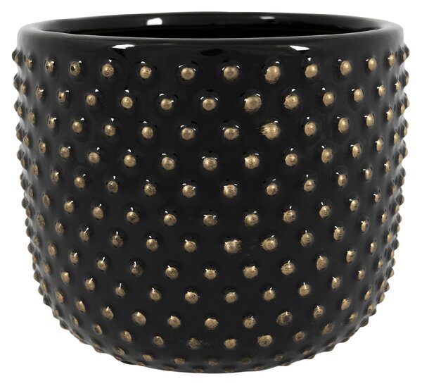 Ter Steege Obal Bolino shiny black D15 H13