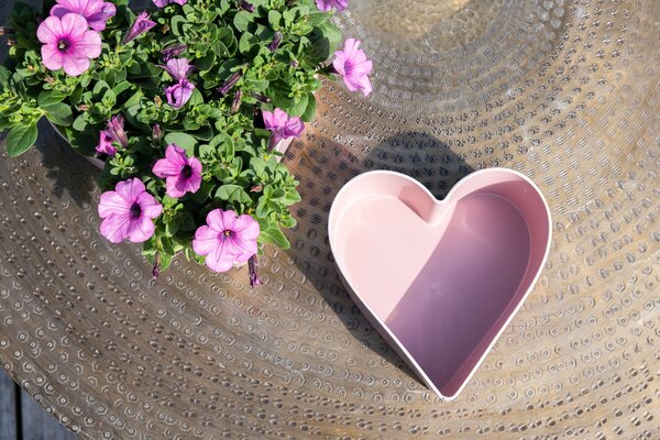 Ter Steege Heart Stacy powder pink D27 H8