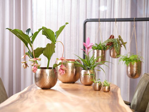 Ter Steege Sada 2 obalů Kody rose gold D9 H7