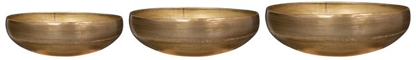 Ter Steege Sada 3 mís Rowen gold D83 H25