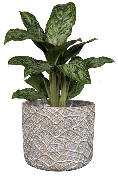 Ter Steege Obal Denzel shinyconcrete D22 H20