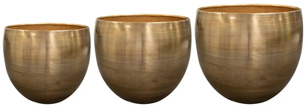 Ter Steege Set 3 Coby gold D30 H29