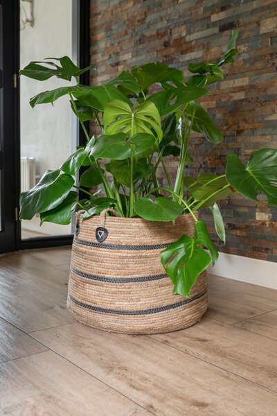 Ter Steege Sada 4 obalů Isla natural black D42 H30