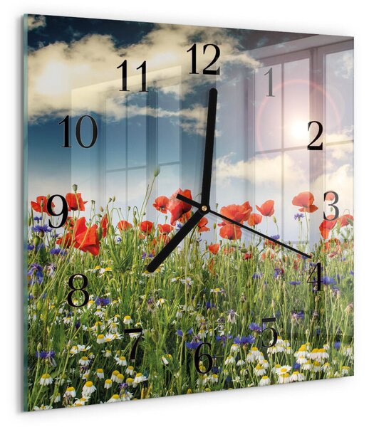 Skleněné hodiny na stěnu Louka zskc-30x30-00178628