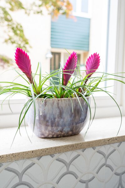 Ter Steege Obal široký Davide lavender D20x12 H12