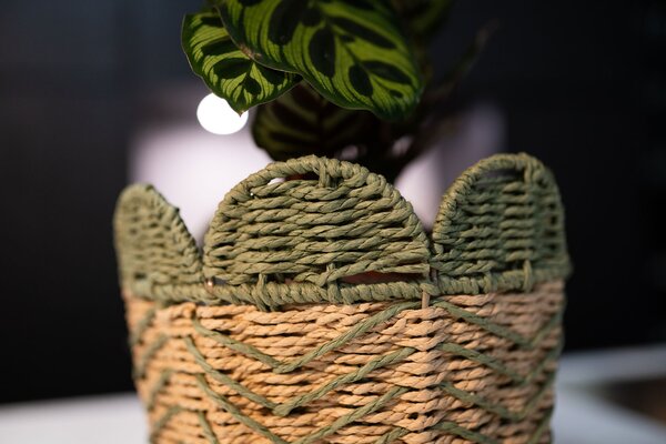 Ter Steege Sada 3 obalů Sahara rope D36 H33
