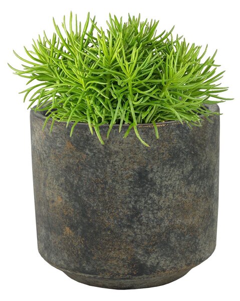 Ter Steege Obal Saar earth D14 H13