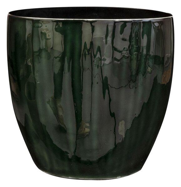 Ter Steege Obal široký Babet pine D27x14 H26