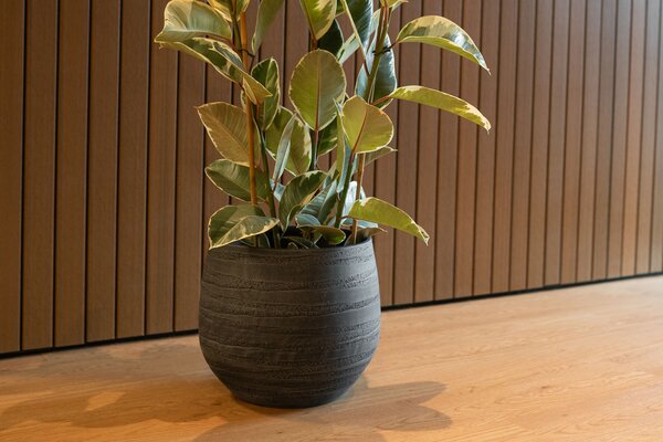 Ter Steege Obal Joyce anthracite D36 H32