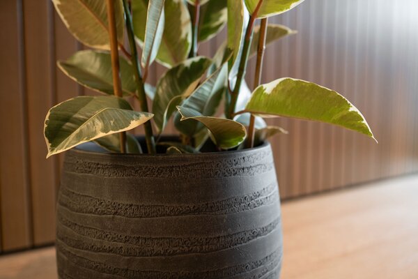 Ter Steege Obal Joyce anthracite D36 H32