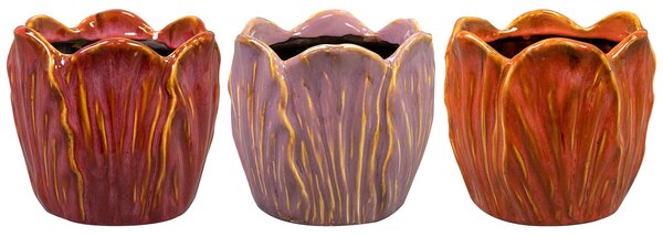 Ter Steege Obal Tulip colour D15 H14
