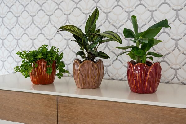 Ter Steege Obal Tulip colour D15 H14