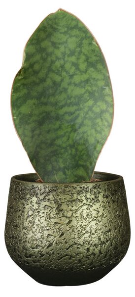 Ter Steege Obal Noor velvet green D16 H13