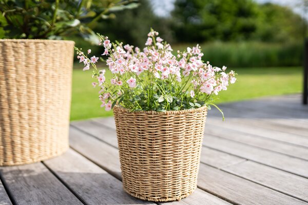 Ter Steege Obal Zora natural D30 H28