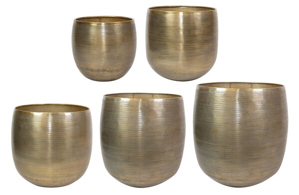 Ter Steege Sada 5 obalů Rowen gold D60 H62