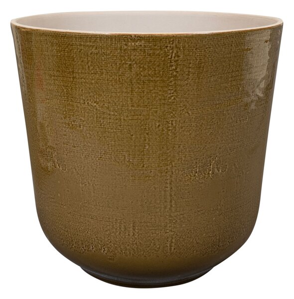 Ter Steege Obal Nouri savannah D25 H24