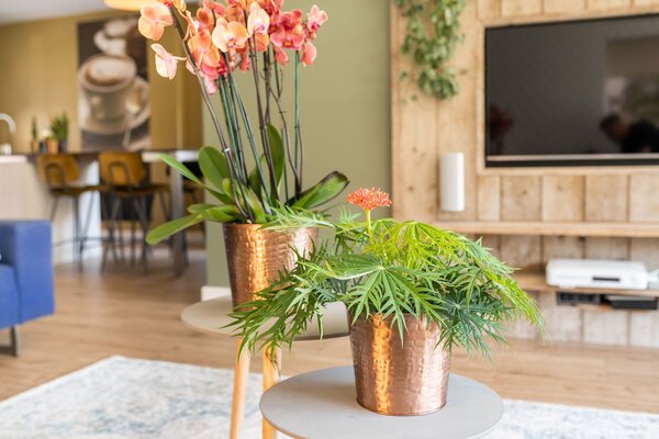 Ter Steege Obal Dustin rose gold D13 H12