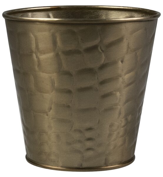 Ter Steege Obal Dustin gold D13 H12