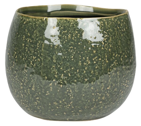 Ter Steege Obal Mischa forest D15 H14