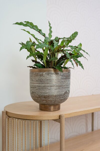Ter Steege Sada 3 obalů Jara antique brass D28 H27