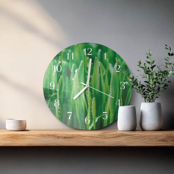 Skleněné hodiny na stěnu Zelená tráva zsob-fi30-00091817