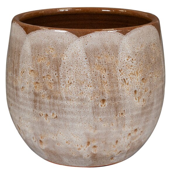 Ter Steege Obal Suus latte D19 H16