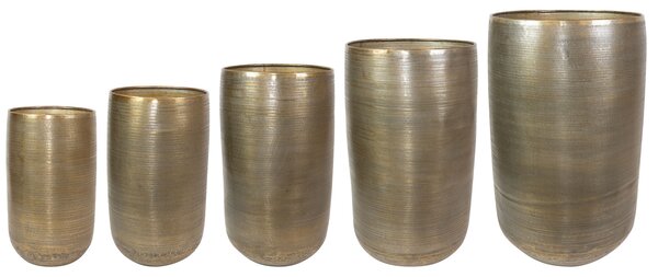 Ter Steege Sada 5 váz Rowen gold D55 H89