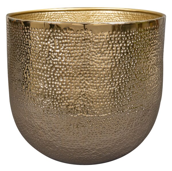 Ter Steege Obal Kristy gold D25 H24