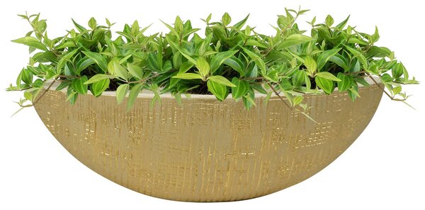 Ter Steege Loďka Ryan shiny sand D35x12 H12