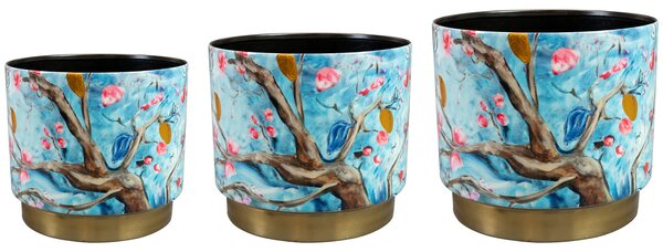 Ter Steege Sada 3 obalů Blossom blue D18 H16