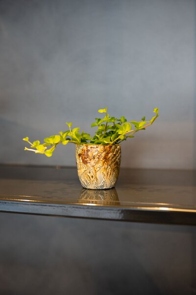 Ter Steege Obal Fern camouflage D7 H7