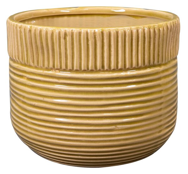 Ter Steege Obal Nona mustard D14 H13