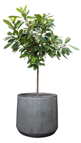 Ter Steege Sada 3 obalů Anouk grey D37 H32