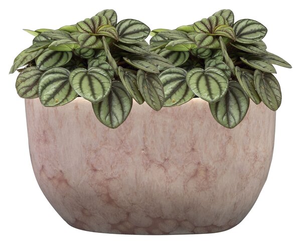 Ter Steege Obal široký Davide mauve D20x12 H12