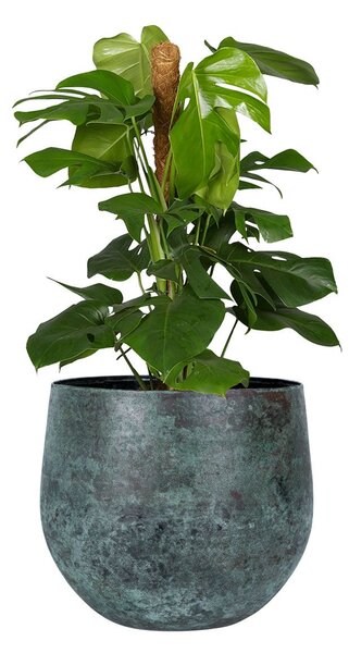 Ter Steege Set 4 obalů Ayka mystic green D21 H19