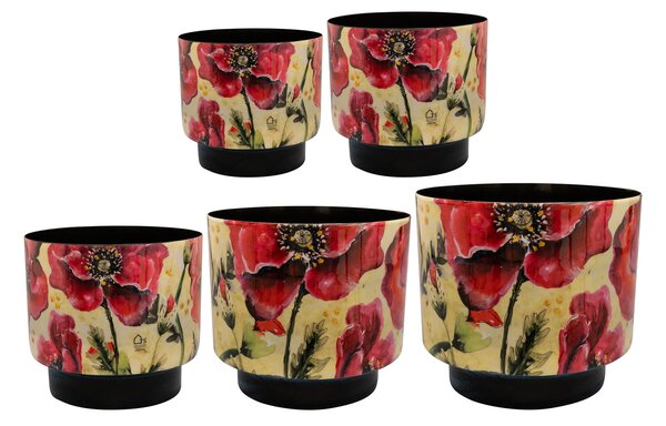 Ter Steege Sada 5 obalů Camelia poppy D22 H20