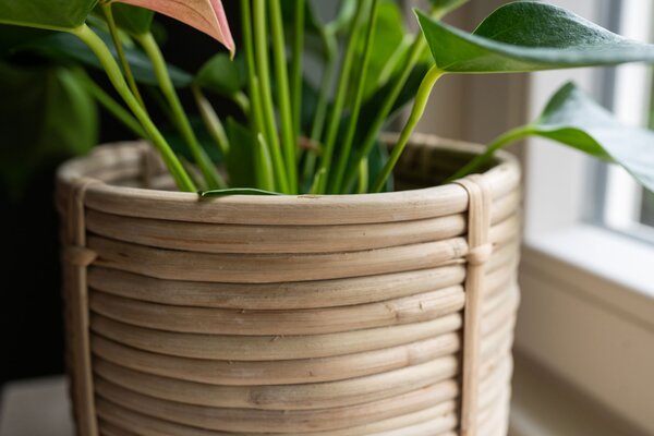 Ter Steege Sada 5 obalů Majen natural D36 H36