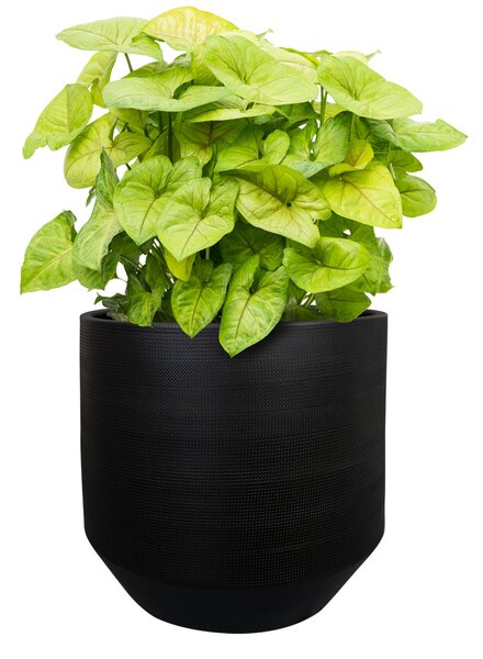 Ter Steege Obal Norell black D25 H24